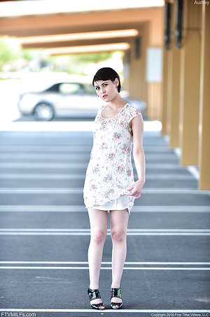 Lady displays goodies lifting dress up for free porn pics