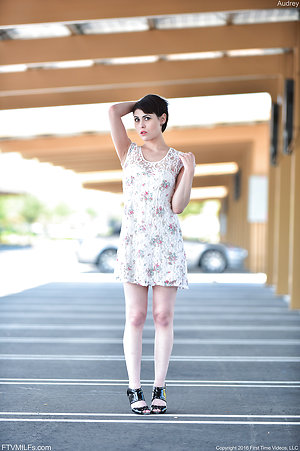 Lady displays goodies lifting dress up for free porn pics